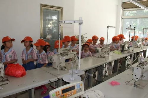 仓上镇中心幼儿园大二班小朋友社会实践活动 走进毛绒玩具厂